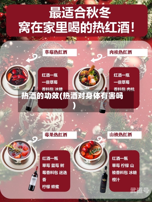 热酒的功效(热酒对身体有害吗)
