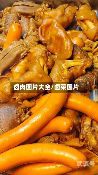 卤肉图片大全/卤菜图片