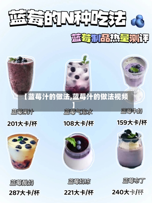 【蓝莓汁的做法,蓝莓汁的做法视频】