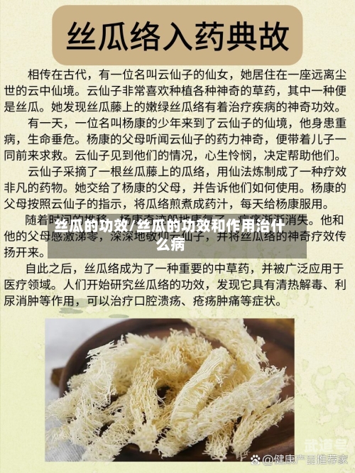 丝瓜的功效/丝瓜的功效和作用治什么病