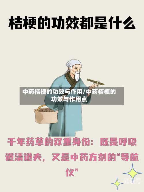 中药桔梗的功效与作用/中药桔梗的功效与作用点