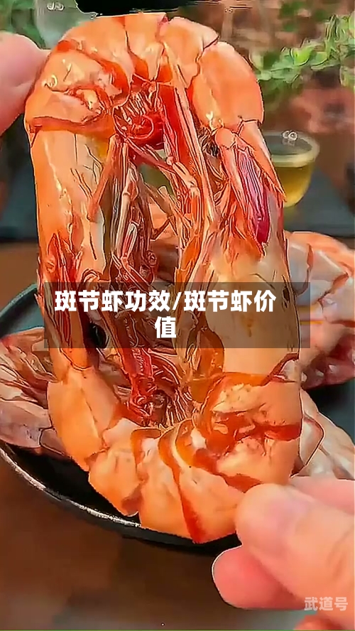 斑节虾功效/斑节虾价值