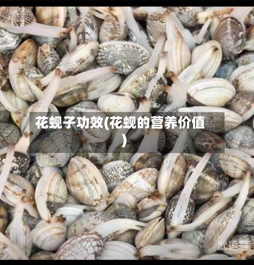 花蚬子功效(花蚬的营养价值)