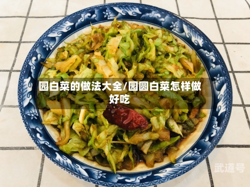 园白菜的做法大全/园圆白菜怎样做好吃