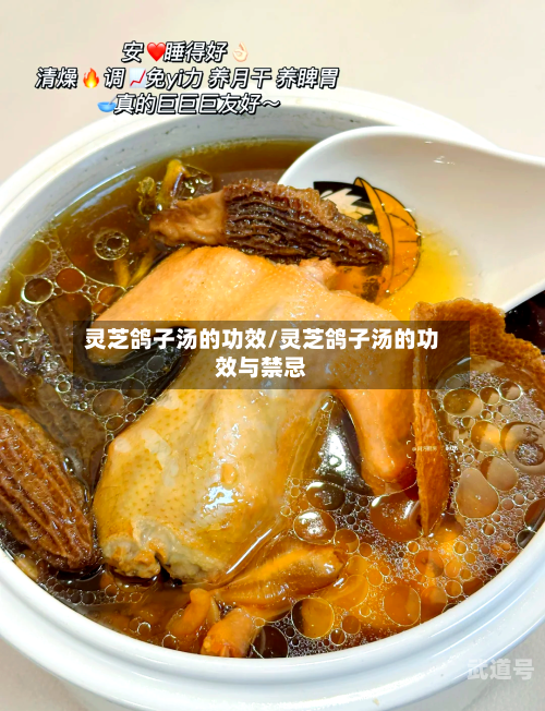 灵芝鸽子汤的功效/灵芝鸽子汤的功效与禁忌