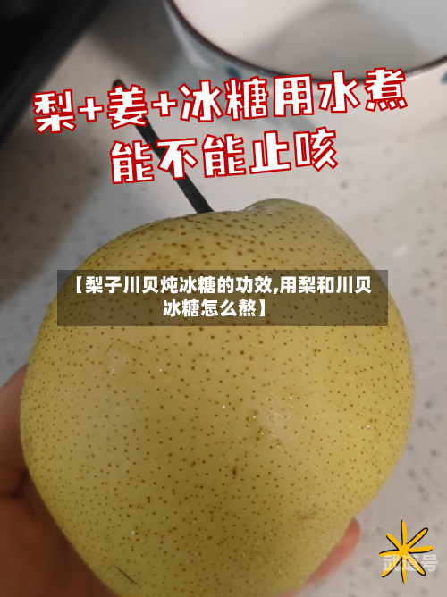 【梨子川贝炖冰糖的功效,用梨和川贝冰糖怎么熬】-第3张图片