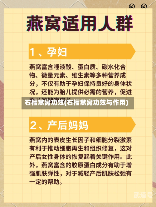 石榴燕窝功效(石榴燕窝功效与作用)