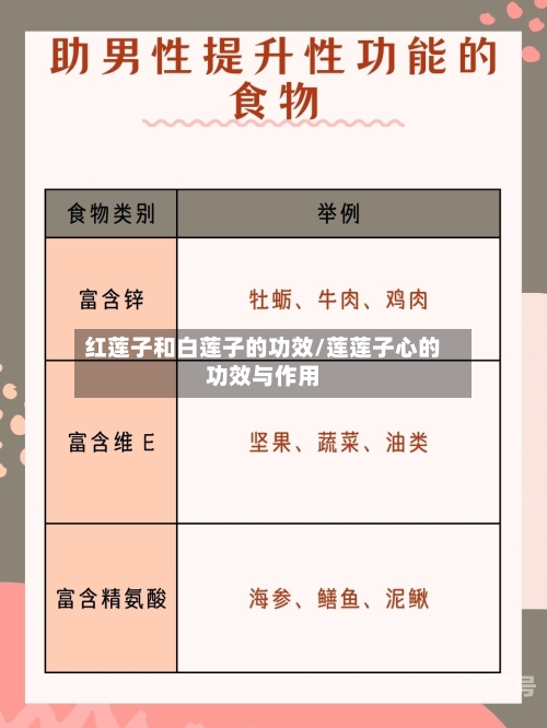 红莲子和白莲子的功效/莲莲子心的功效与作用