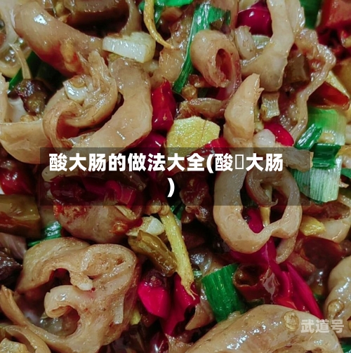 酸大肠的做法大全(酸醩大肠)