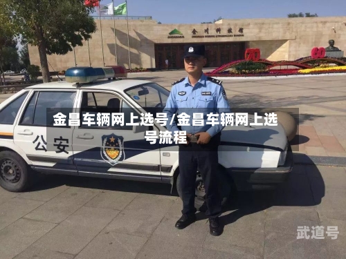 金昌车辆网上选号/金昌车辆网上选号流程