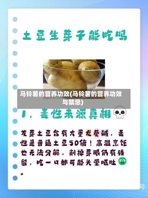马铃薯的营养功效(马铃薯的营养功效与禁忌)