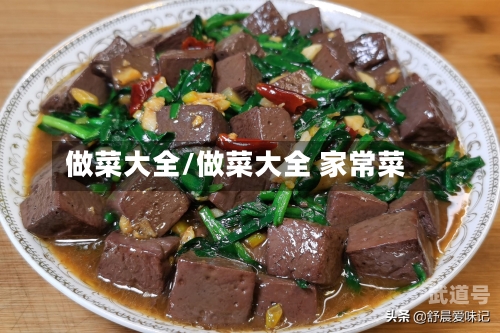 做菜大全/做菜大全 家常菜