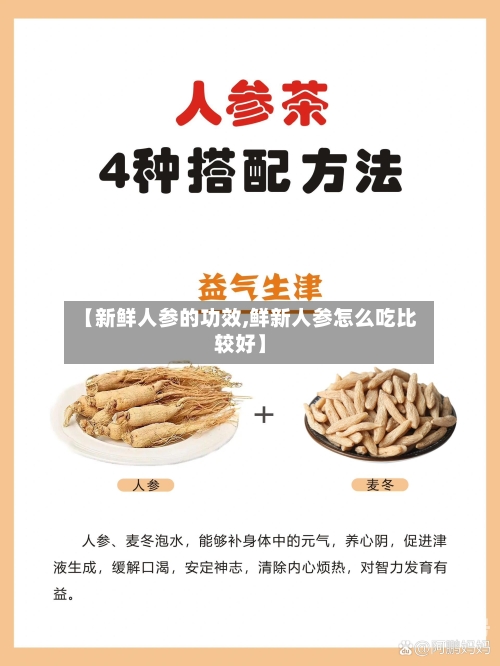 【新鲜人参的功效,鲜新人参怎么吃比较好】