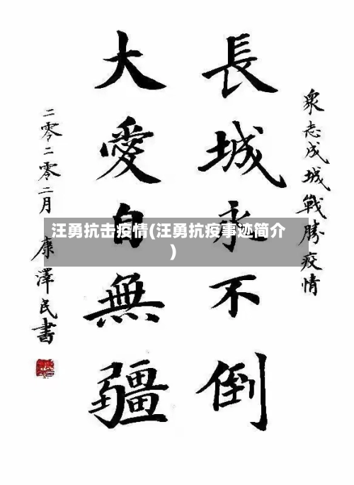 汪勇抗击疫情(汪勇抗疫事迹简介)