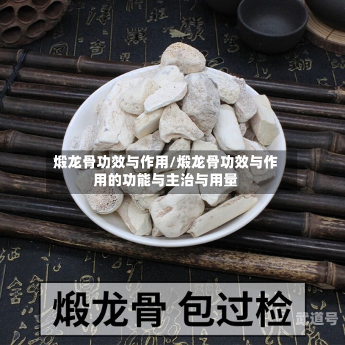 煅龙骨功效与作用/煅龙骨功效与作用的功能与主治与用量