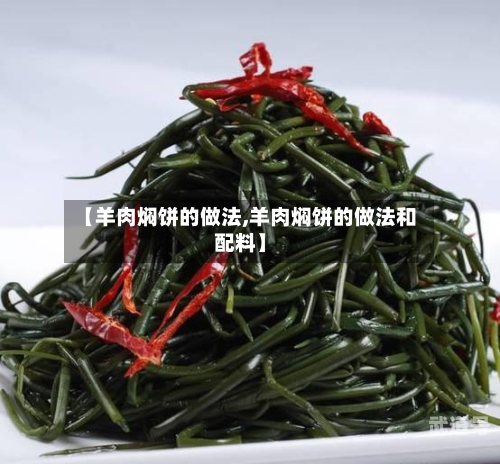 【羊肉焖饼的做法,羊肉焖饼的做法和配料】