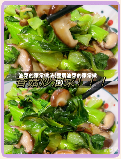 油菜的家常做法(豆腐油菜的家常做法)