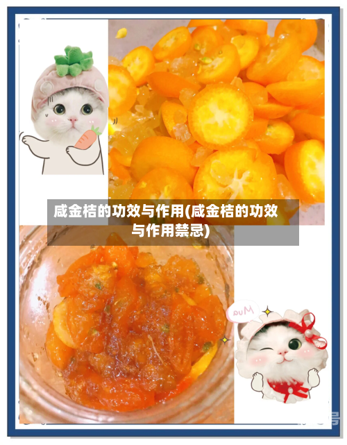 咸金桔的功效与作用(咸金桔的功效与作用禁忌)-第2张图片