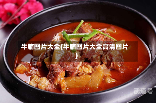 牛腩图片大全(牛腩图片大全高清图片)