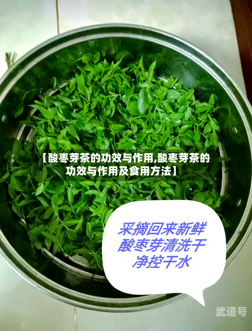 【酸枣芽茶的功效与作用,酸枣芽茶的功效与作用及食用方法】