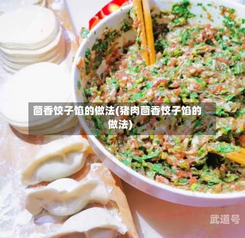 茴香饺子馅的做法(猪肉茴香饺子馅的做法)
