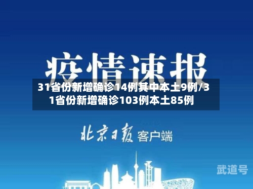 31省份新增确诊14例其中本土9例/31省份新增确诊103例本土85例