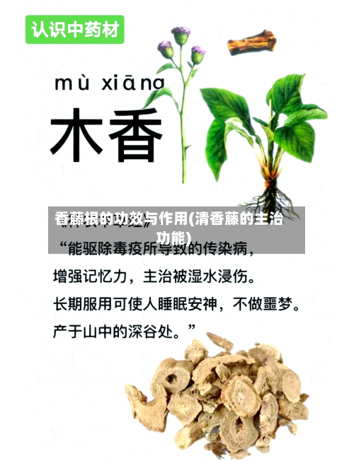 香藤根的功效与作用(清香藤的主治功能)