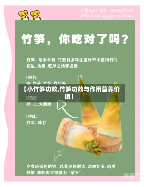 【小竹笋功效,竹笋功效与作用营养价值】