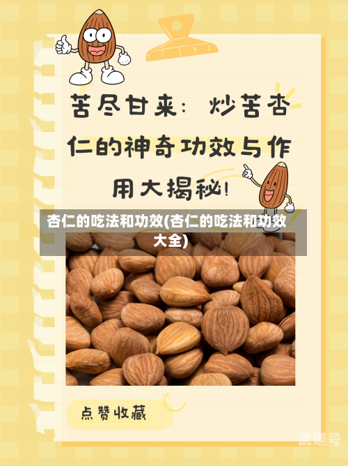 杏仁的吃法和功效(杏仁的吃法和功效大全)