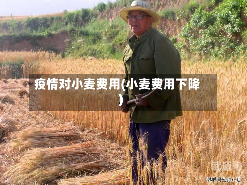 疫情对小麦费用(小麦费用下降)