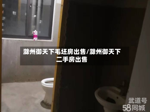 滁州御天下毛坯房出售/滁州御天下二手房出售