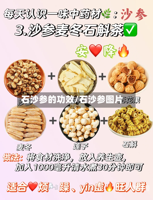 石沙参的功效/石沙参图片