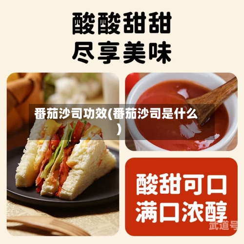 番茄沙司功效(番茄沙司是什么)