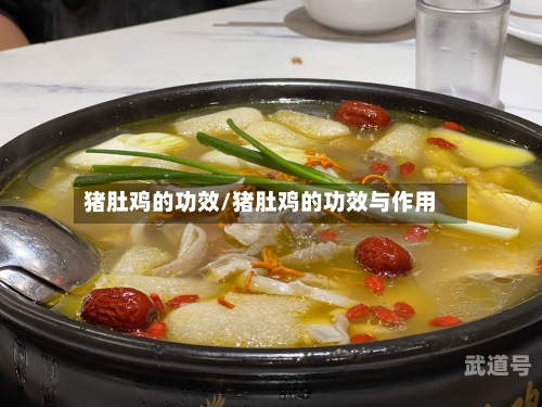 猪肚鸡的功效/猪肚鸡的功效与作用