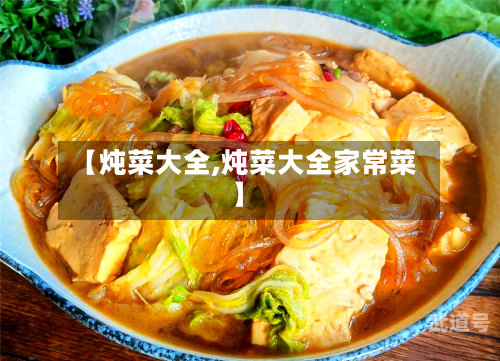 【炖菜大全,炖菜大全家常菜】