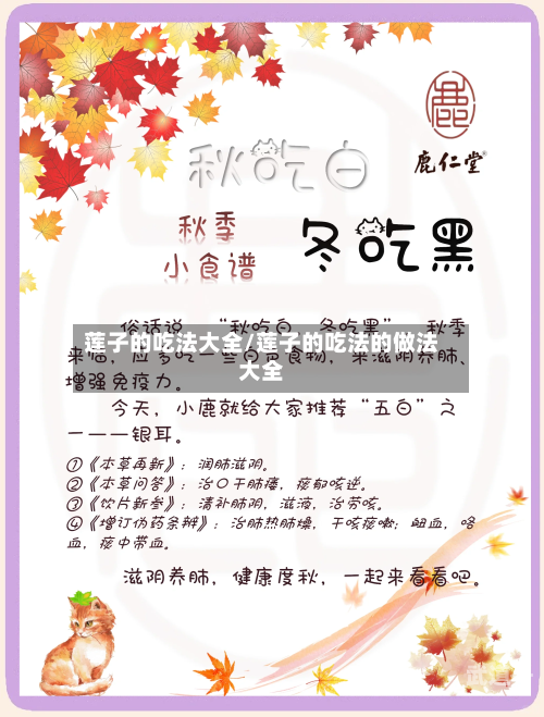 莲子的吃法大全/莲子的吃法的做法大全