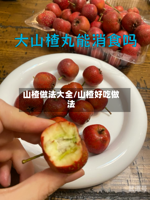 山楂做法大全/山楂好吃做法