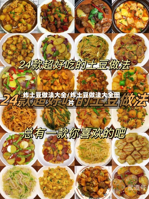 炸土豆做法大全/炸土豆做法大全图片