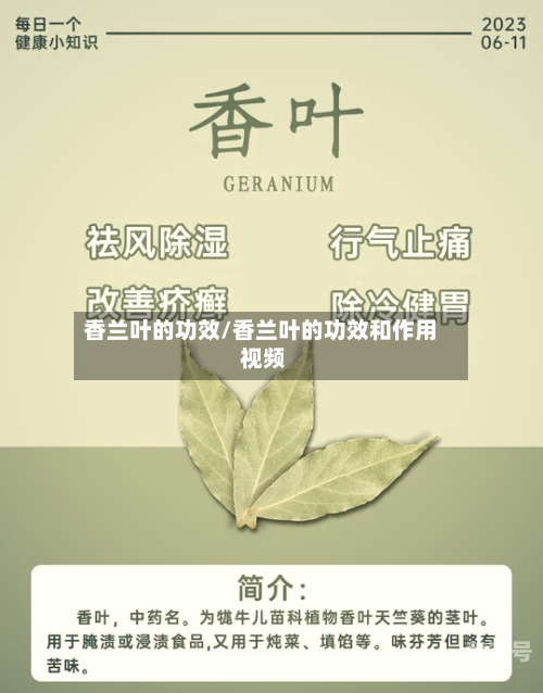 香兰叶的功效/香兰叶的功效和作用 视频