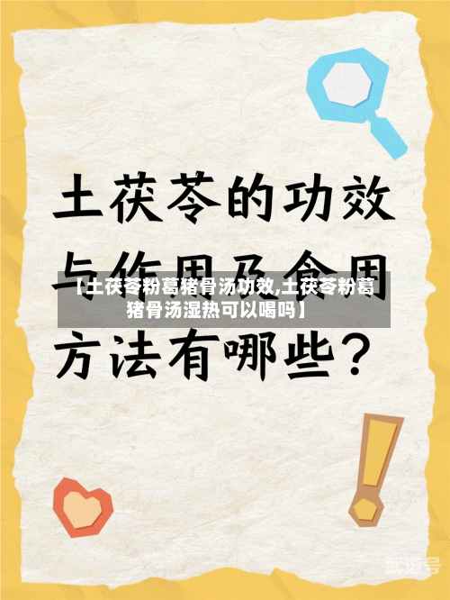 【土茯苓粉葛猪骨汤功效,土茯苓粉葛猪骨汤湿热可以喝吗】