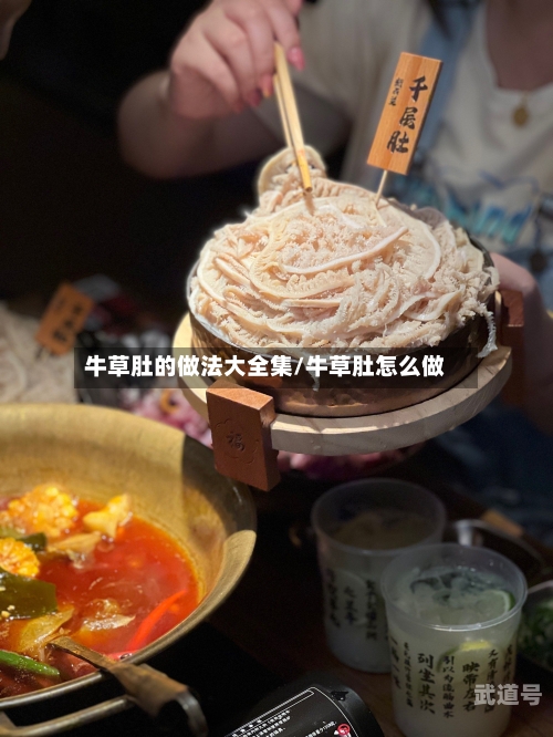 牛草肚的做法大全集/牛草肚怎么做