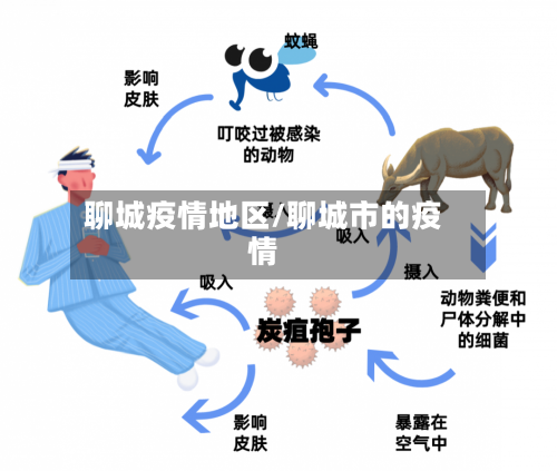 聊城疫情地区/聊城市的疫情