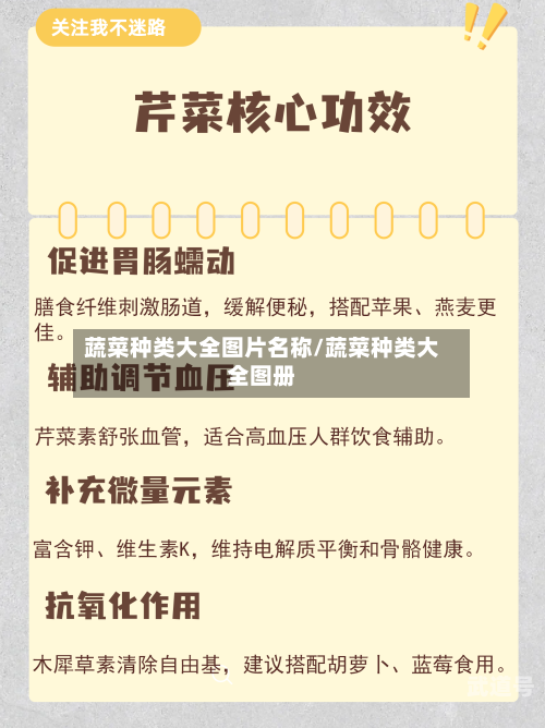 蔬菜种类大全图片名称/蔬菜种类大全图册