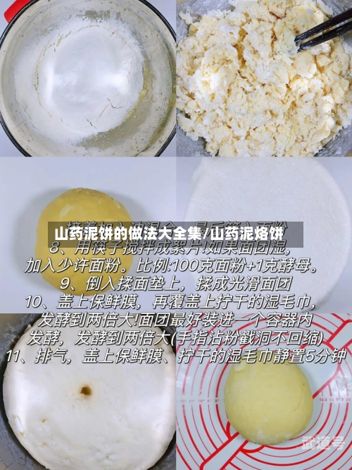 山药泥饼的做法大全集/山药泥烙饼