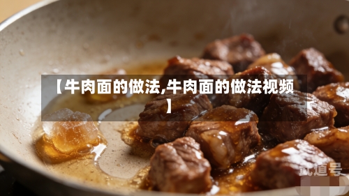 【牛肉面的做法,牛肉面的做法视频】
