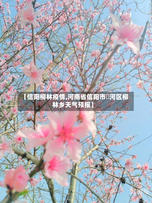 【信阳柳林疫情,河南省信阳市浉河区柳林乡天气预报】