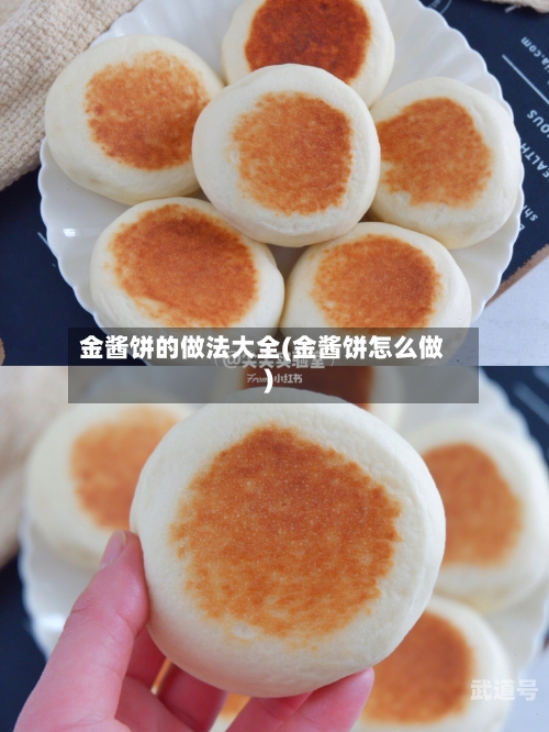 金酱饼的做法大全(金酱饼怎么做)