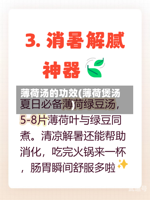 薄荷汤的功效(薄荷煲汤)