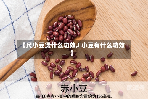 【尺小豆煲什么功效,朿小豆有什么功效】