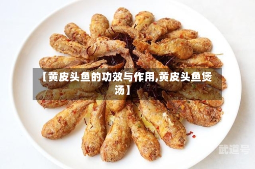 【黄皮头鱼的功效与作用,黄皮头鱼煲汤】